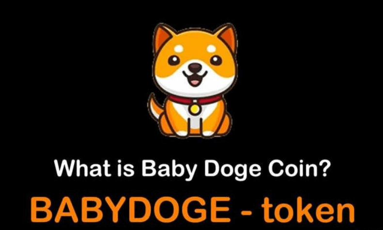 怎么购买BABYDOGE | 在哪里购买BABYDOGE - 知你太美