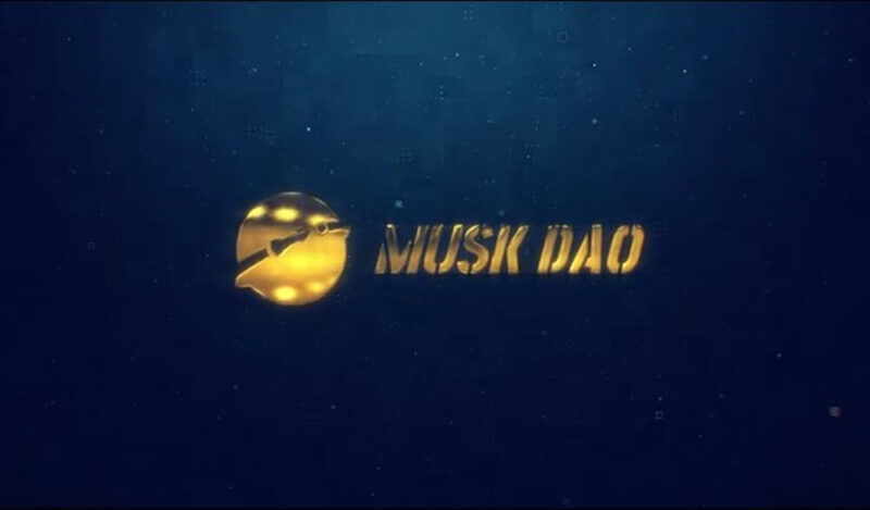 怎么购买MUSK (MUSK DAO) | 在哪里购买MUSK - 知你太美